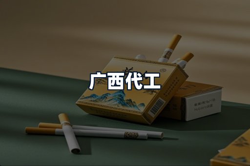 广西代工
